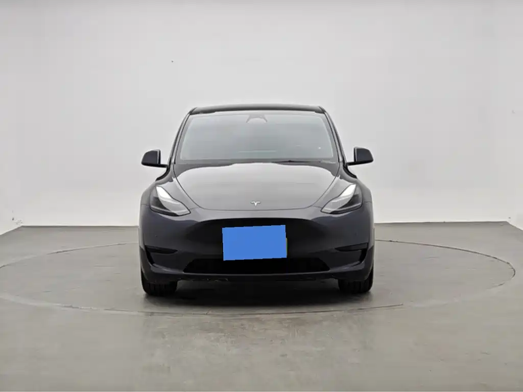 Tesla Model Y — миниатюра 2