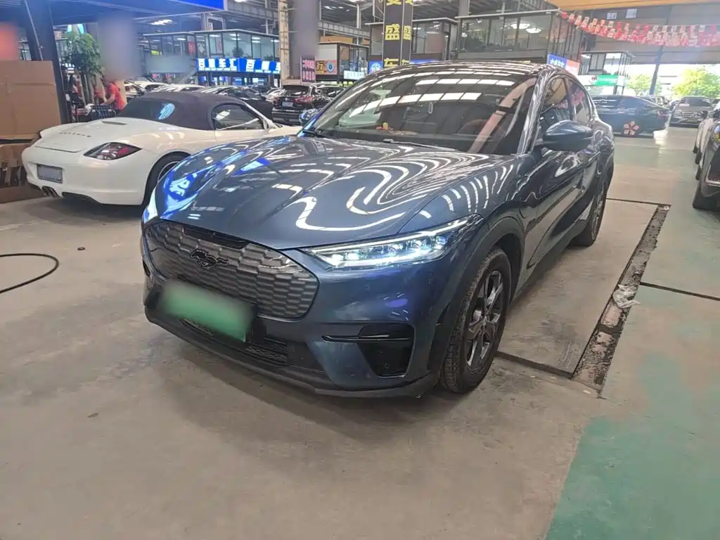 Ford Mustang Mach-E — миниатюра 2