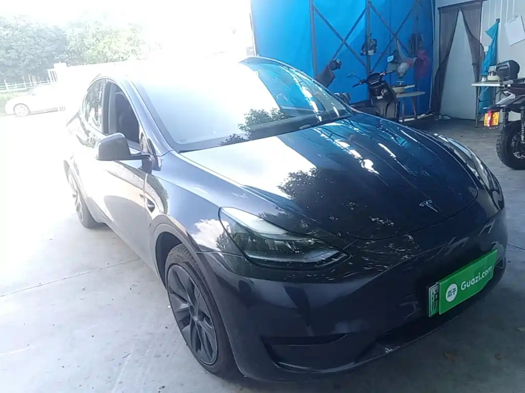 Tesla Model Y — миниатюра 4
