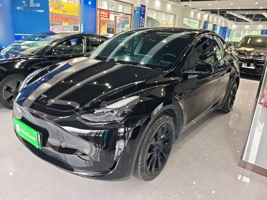 Tesla Model Y — миниатюра 2