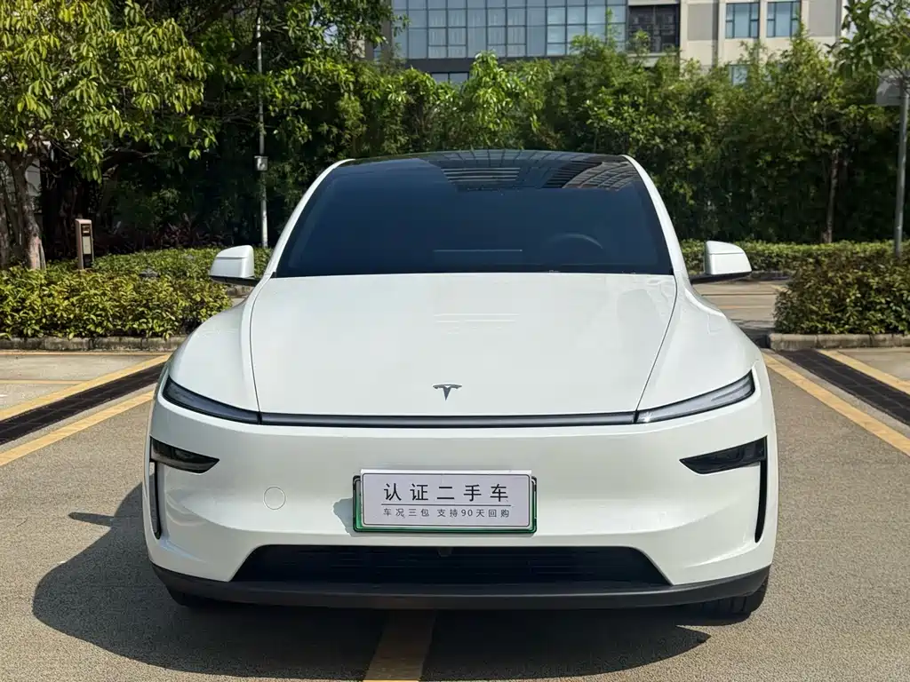 Tesla Model Y — миниатюра 2
