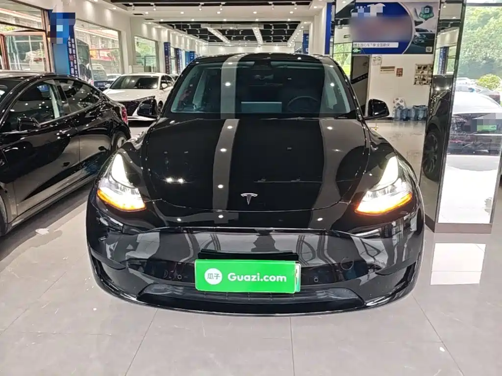 Tesla Model Y — миниатюра 3