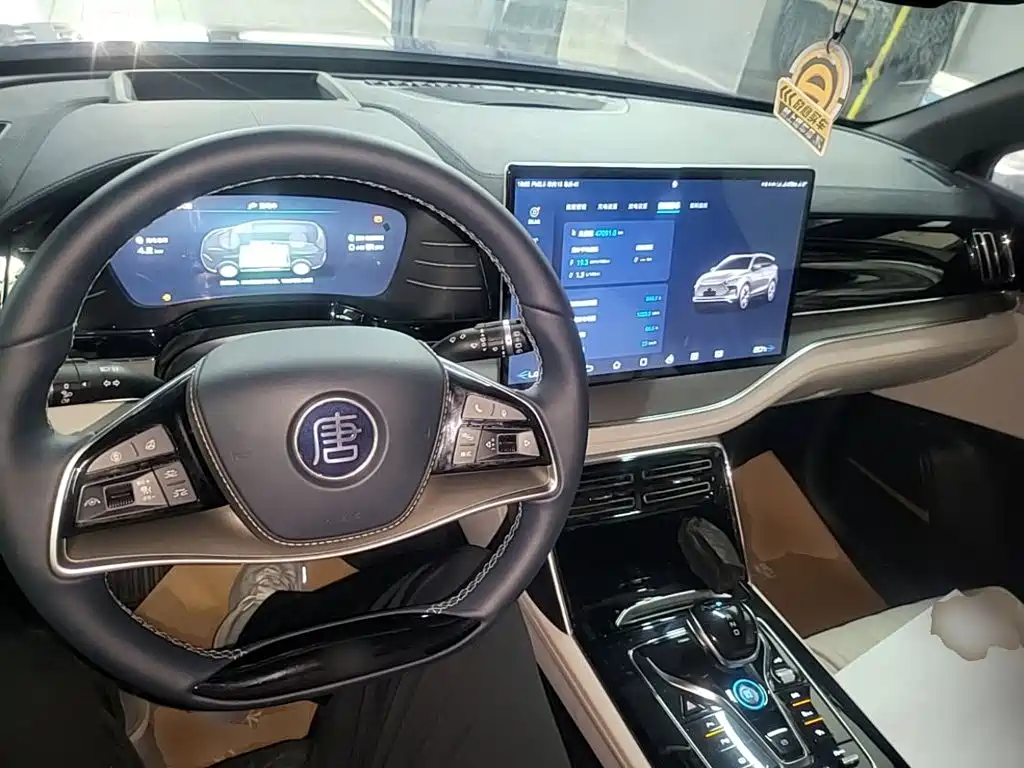 BYD Tang New Energy — миниатюра 10