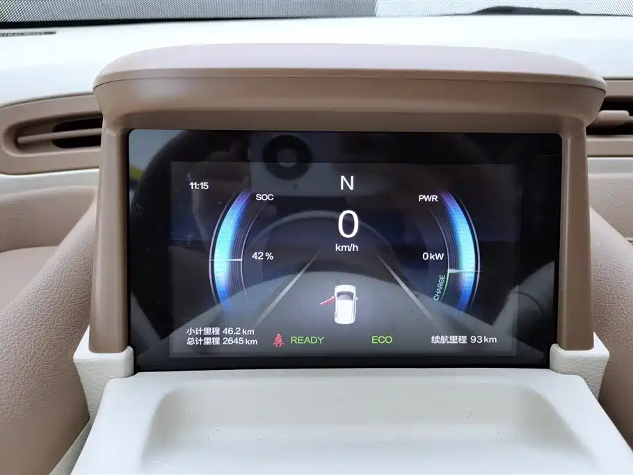 BESTUNE PENTIUM PONY