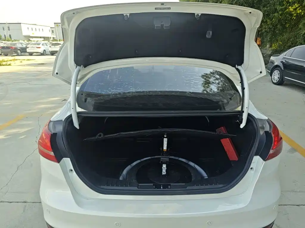 Ford Focus — миниатюра 19