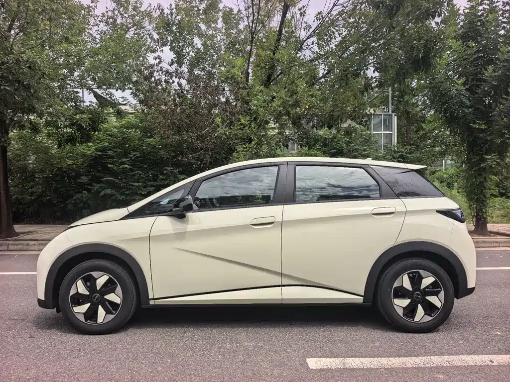 BYD Dolphin — миниатюра 7