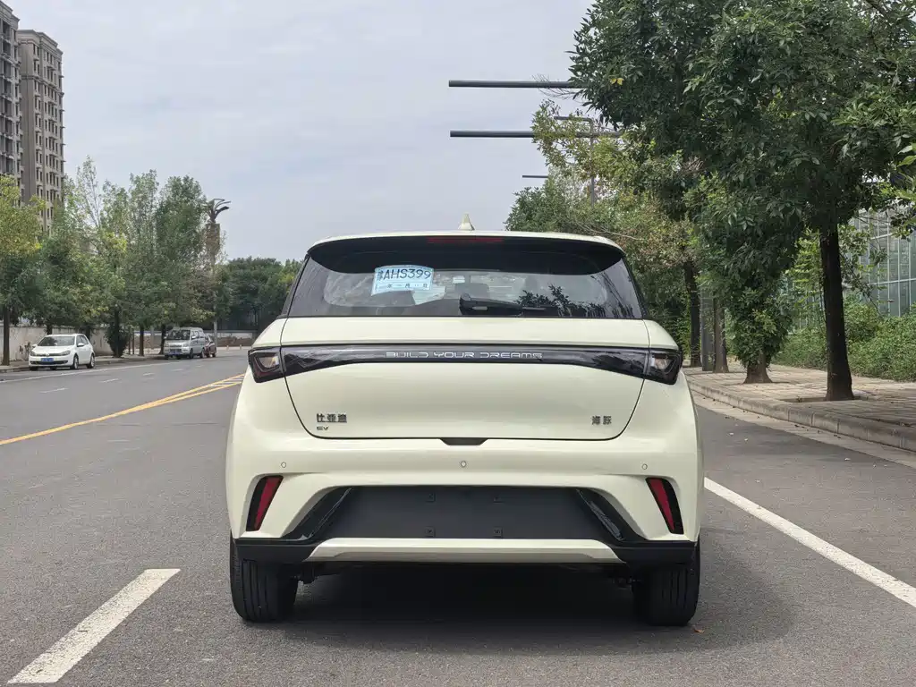 BYD Dolphin — миниатюра 5