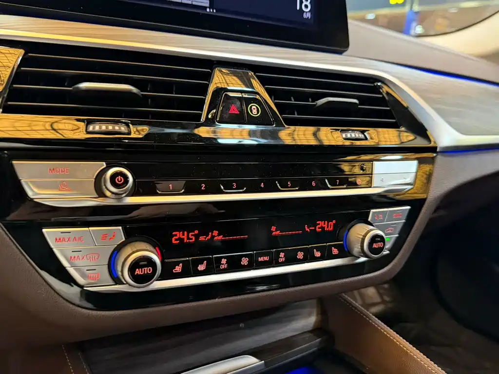 BMW 5 Series 5 2020 530Le