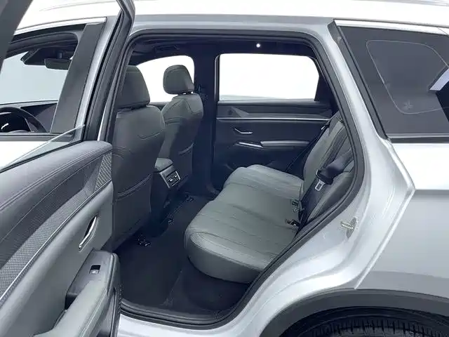 BYD Pro — миниатюра 13