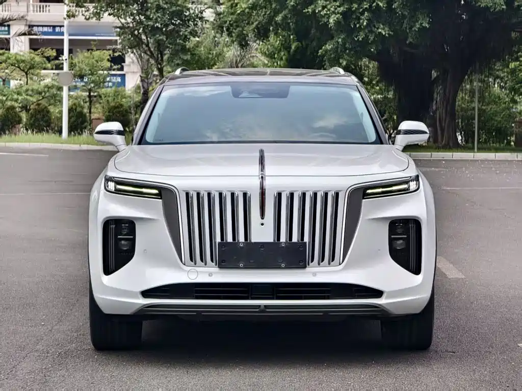 Hongqi Hongqi E-HS9 — миниатюра 5