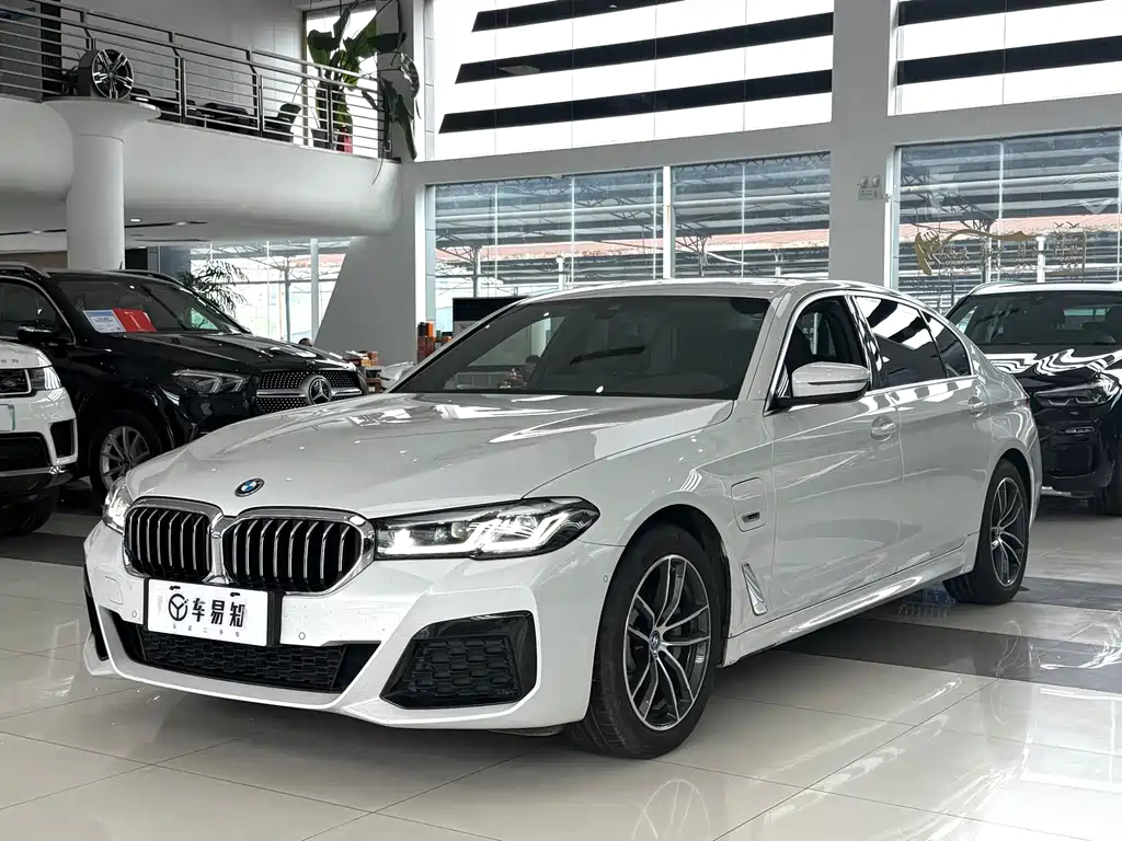 BMW 5 Series New Energy 2022