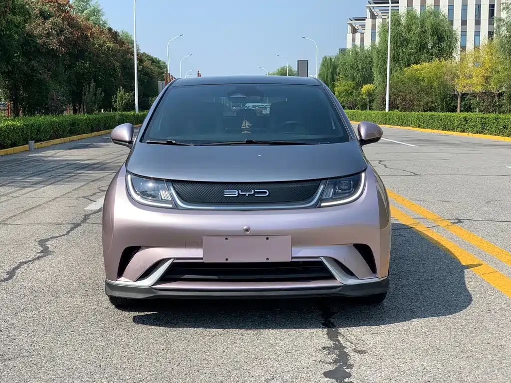 BYD Dolphin — миниатюра 2