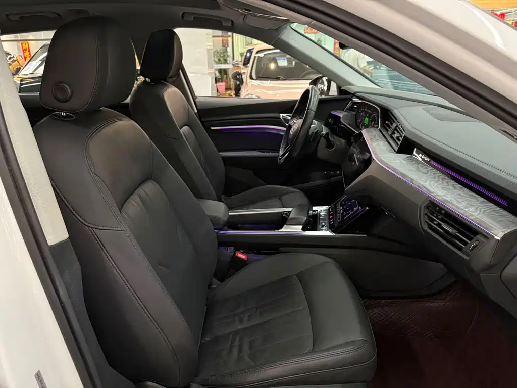 Audi e-tron (Import) — миниатюра 9