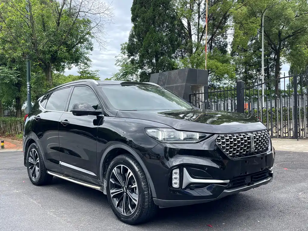 Wey Wey VV6 — миниатюра 3