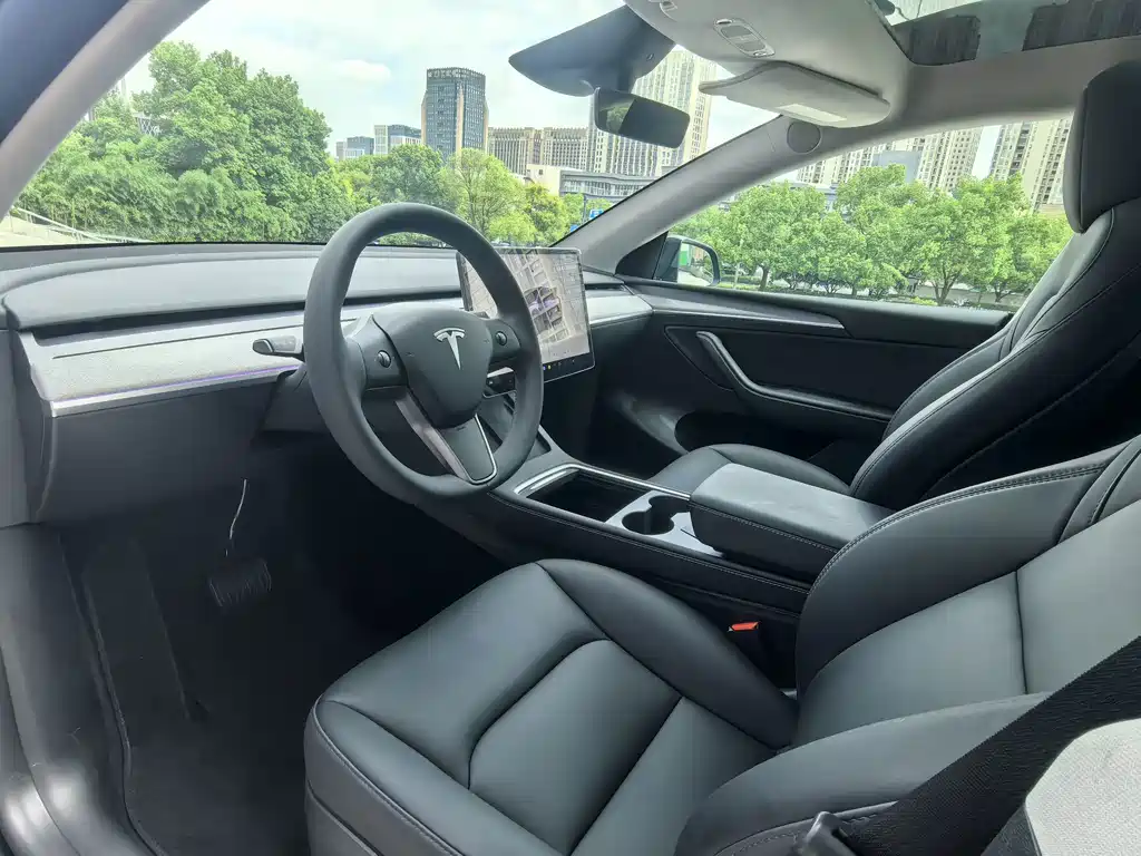 Tesla Model Y — миниатюра 4