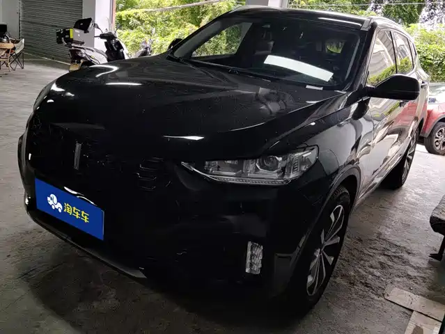 2019 Wey VV6