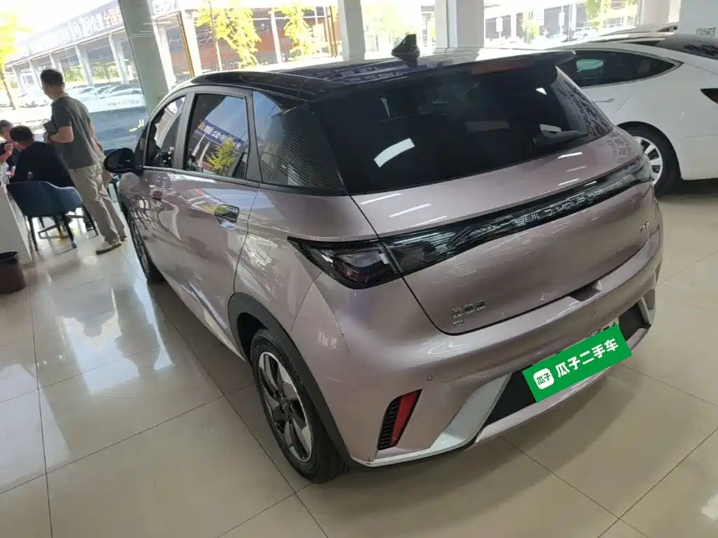 BYD Dolphin — миниатюра 5