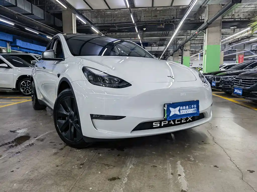 Tesla Model Y — миниатюра 3
