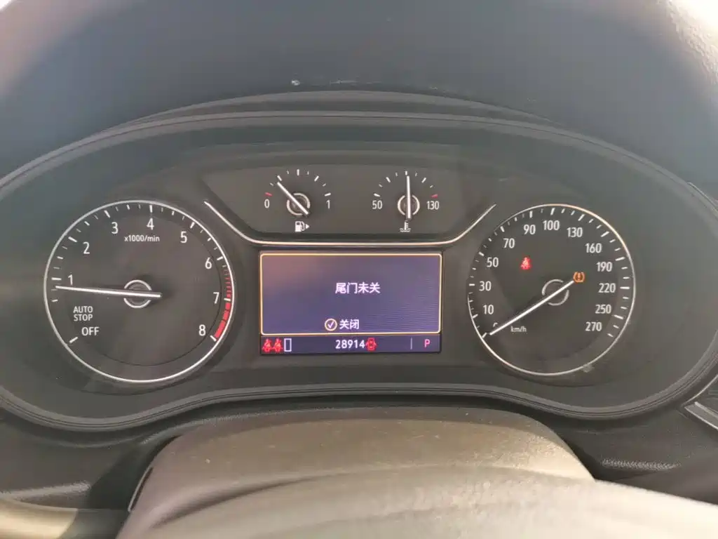 Buick Regal — миниатюра 12
