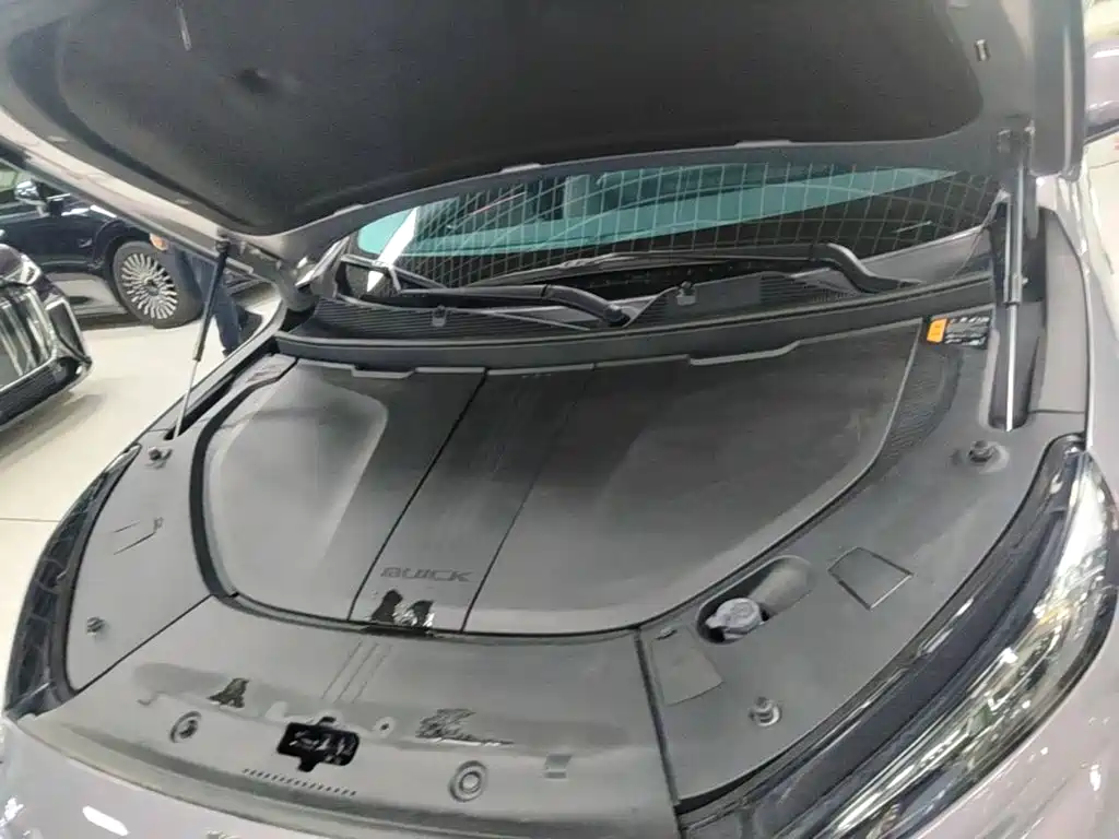 Buick E5 — миниатюра 20