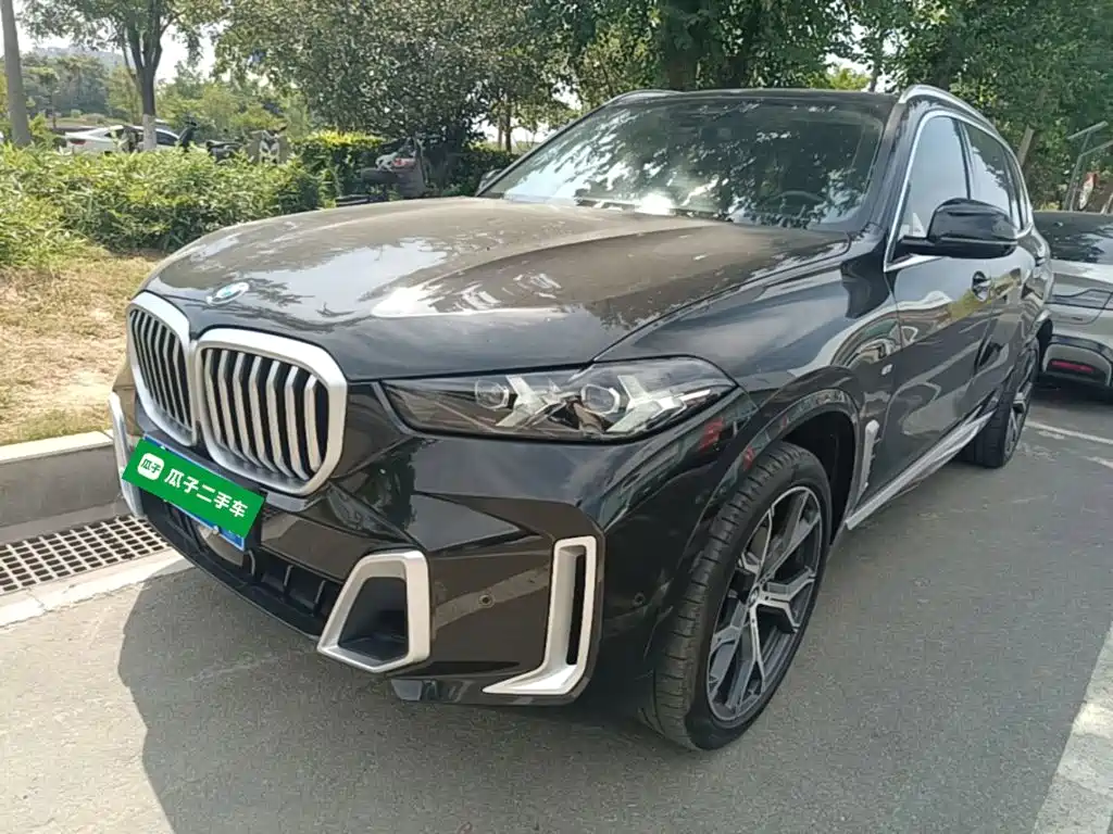 BMW X5 — миниатюра 2