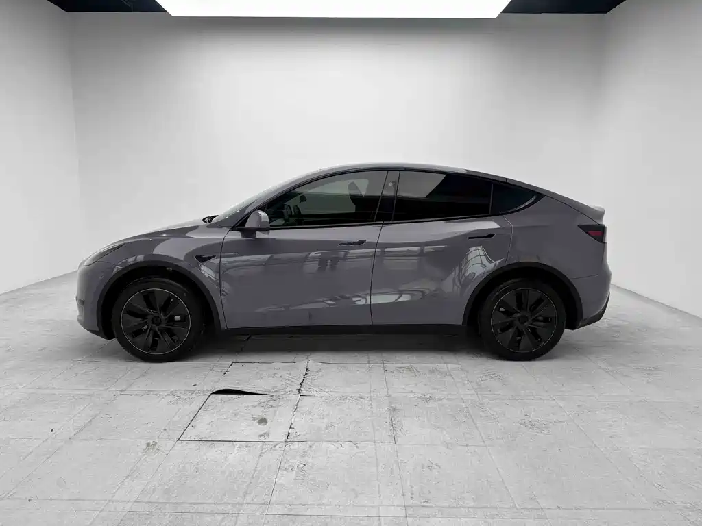 Tesla Model Y — миниатюра 7