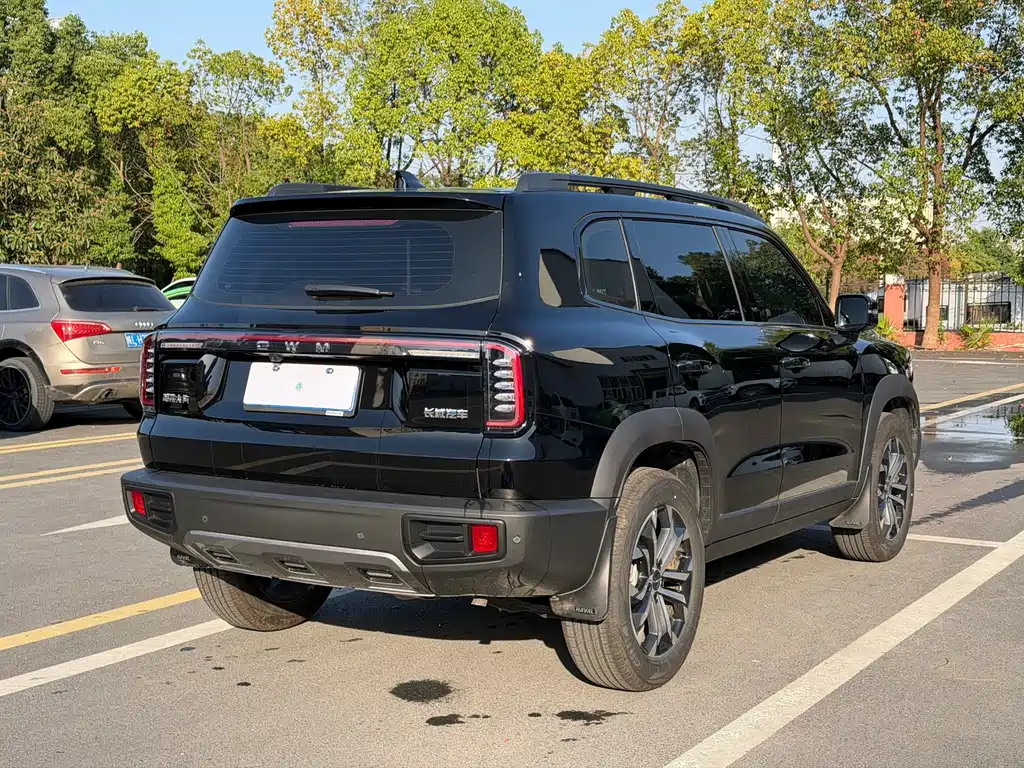 Haval Big Dog — миниатюра 16