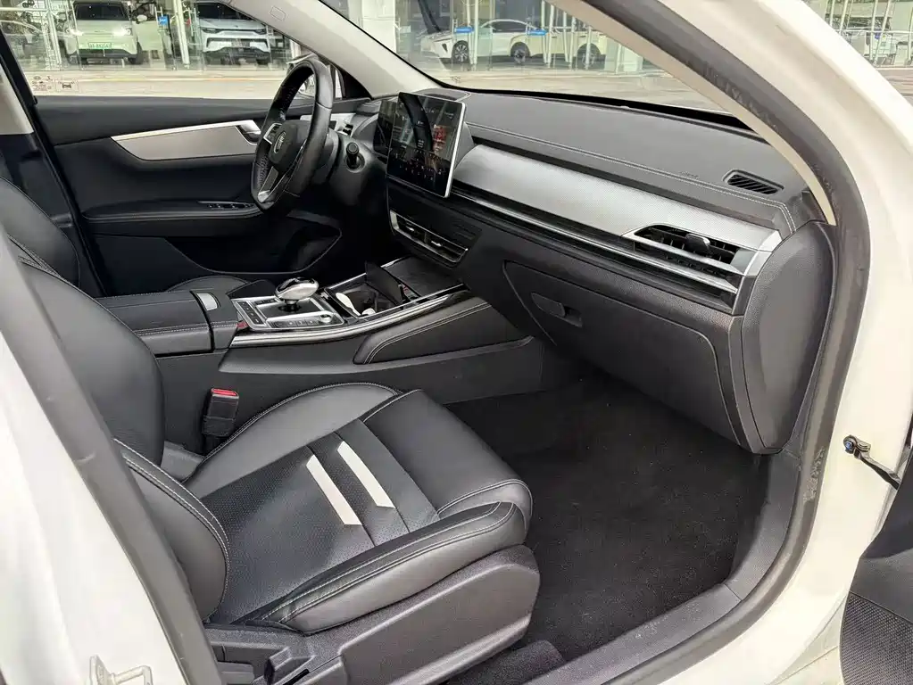 BYD Qin Pro NEV — миниатюра 13