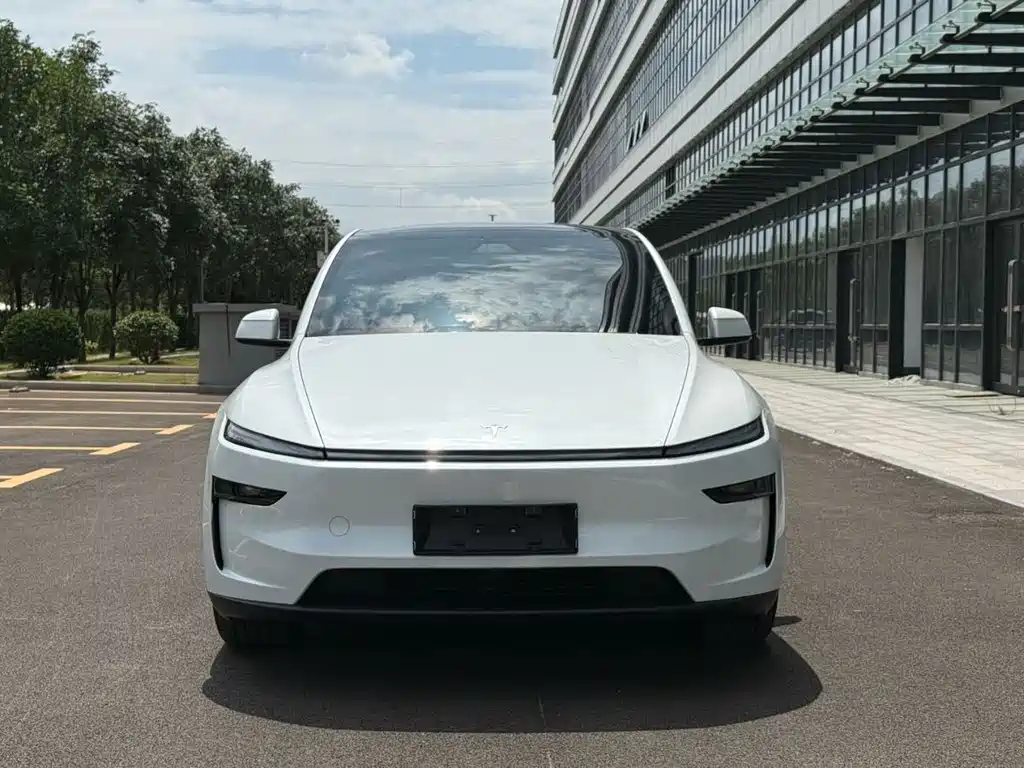Tesla Model Y — миниатюра 2