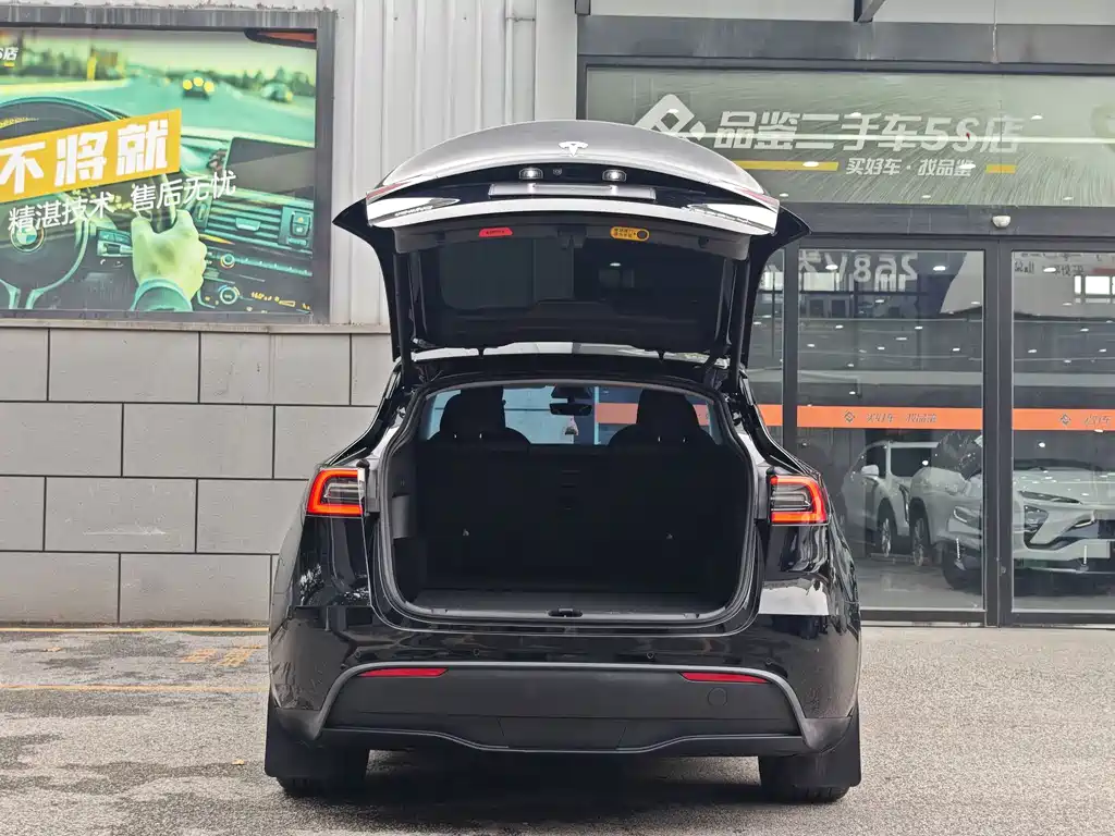 Tesla Model Y — миниатюра 6