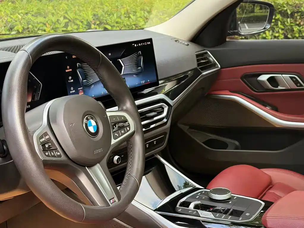 BMW 3 Series 320Li M Sport Package, фото 14