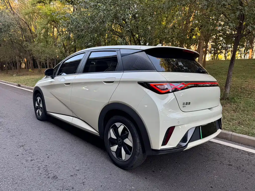 BYD Dolphin — миниатюра 6