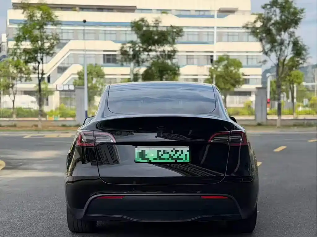Tesla Model Y — миниатюра 9