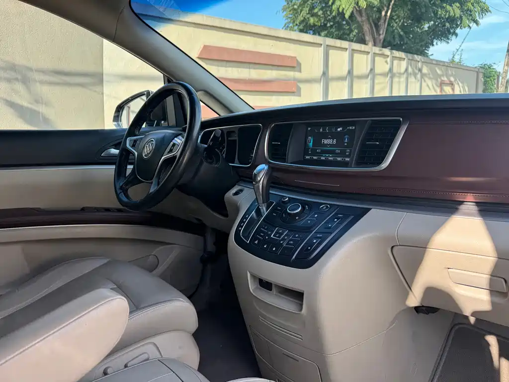 Buick GL8 — миниатюра 11