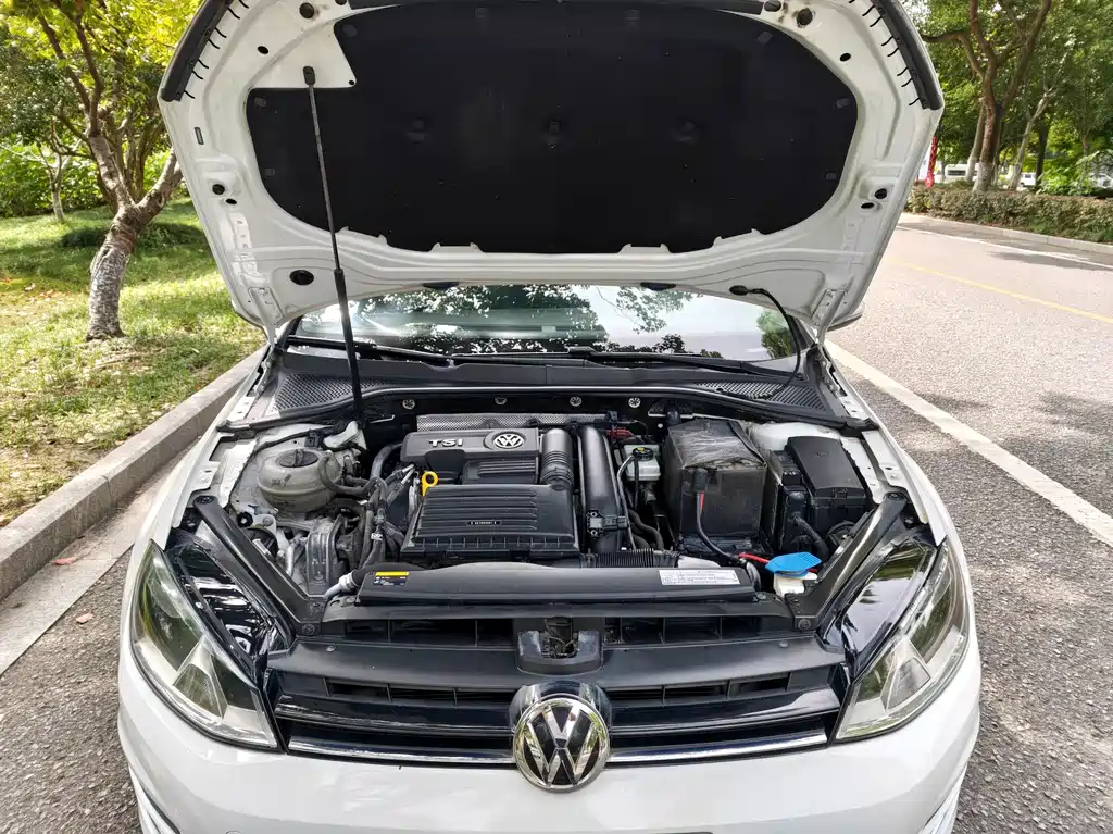 Volkswagen Golf — миниатюра 24