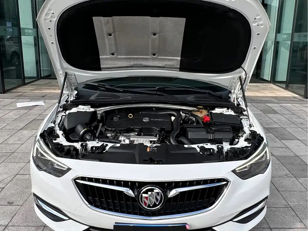 Buick Regal — миниатюра 15