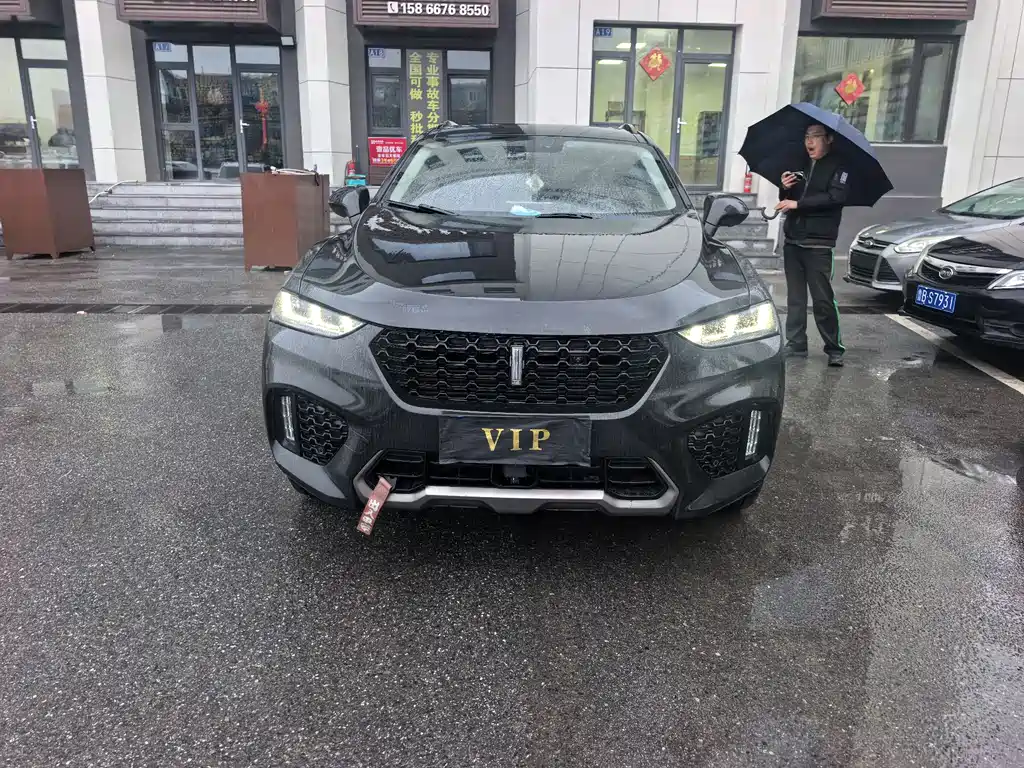 WEI PAI WEI BRAND VV7