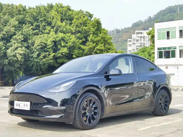 TESLA MODEL Y 2021