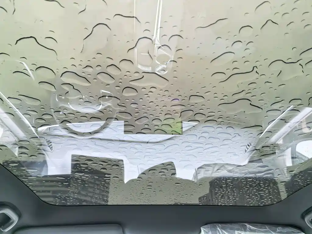 ARCFOX EXTREME FOX POLAR FOX ALPHA T5