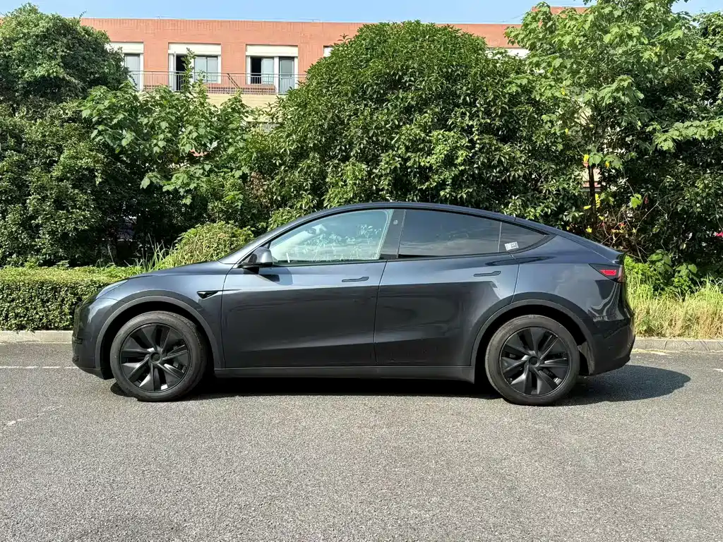 Tesla Model Y — миниатюра 7