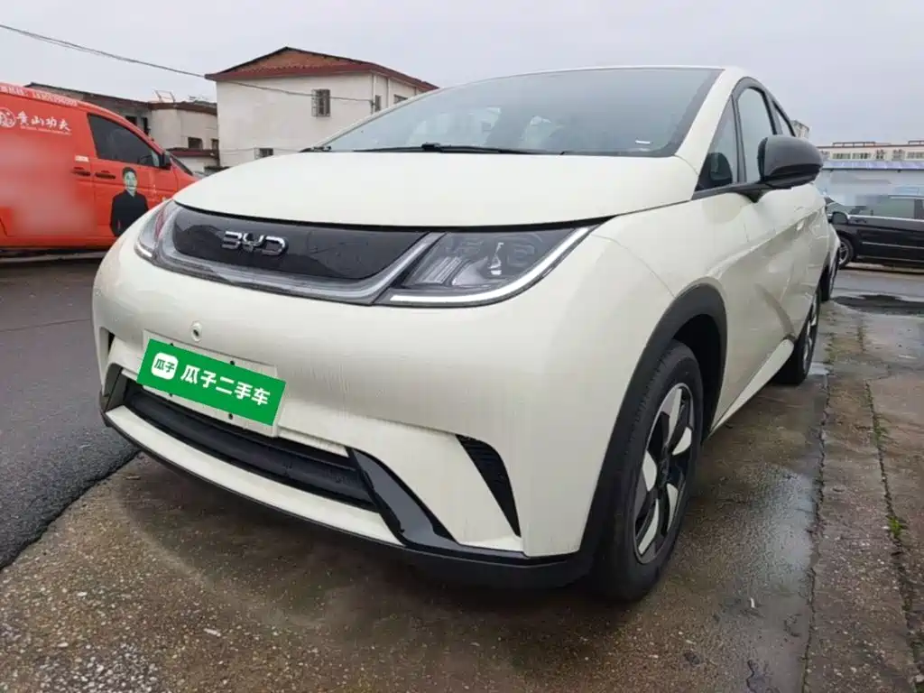 BYD Dolphin