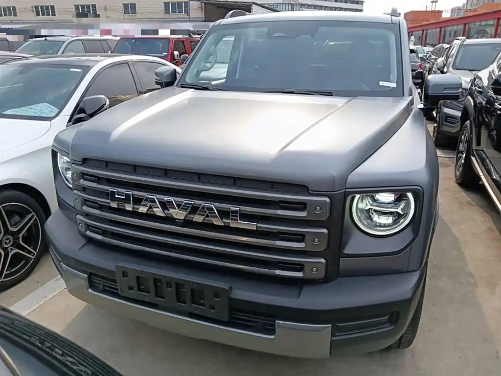 HAVAL  RAPTORS NEW ENERGY