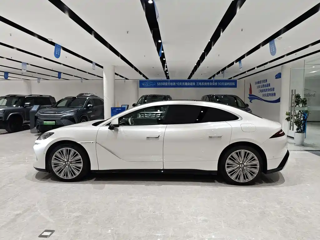 Denza Denza Z9 — миниатюра 3