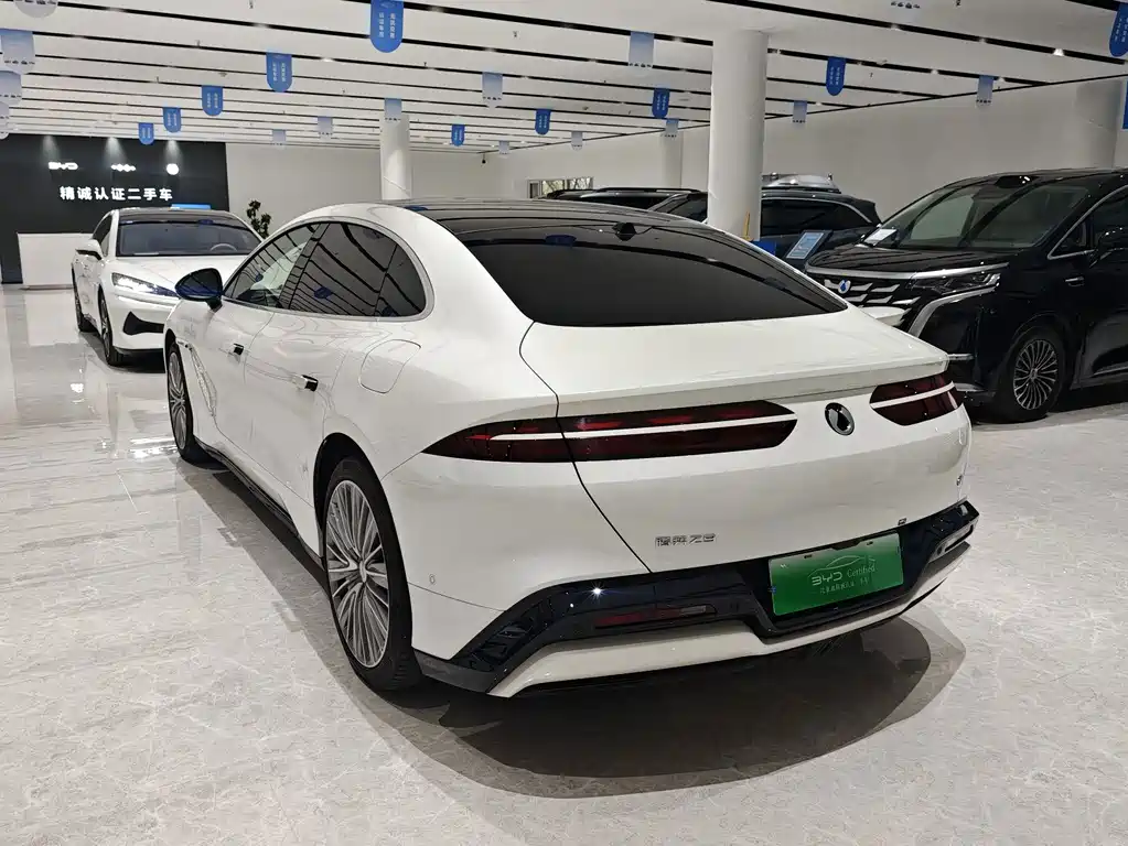 Denza Denza Z9 — миниатюра 13