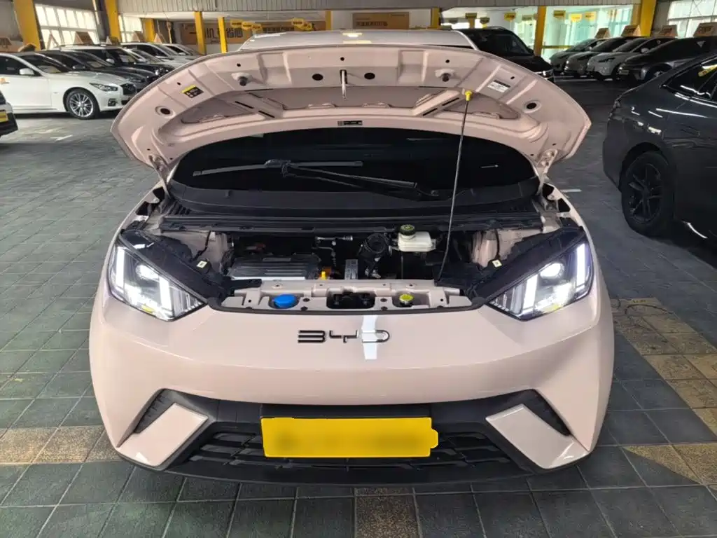 BYD Seagull — миниатюра 20