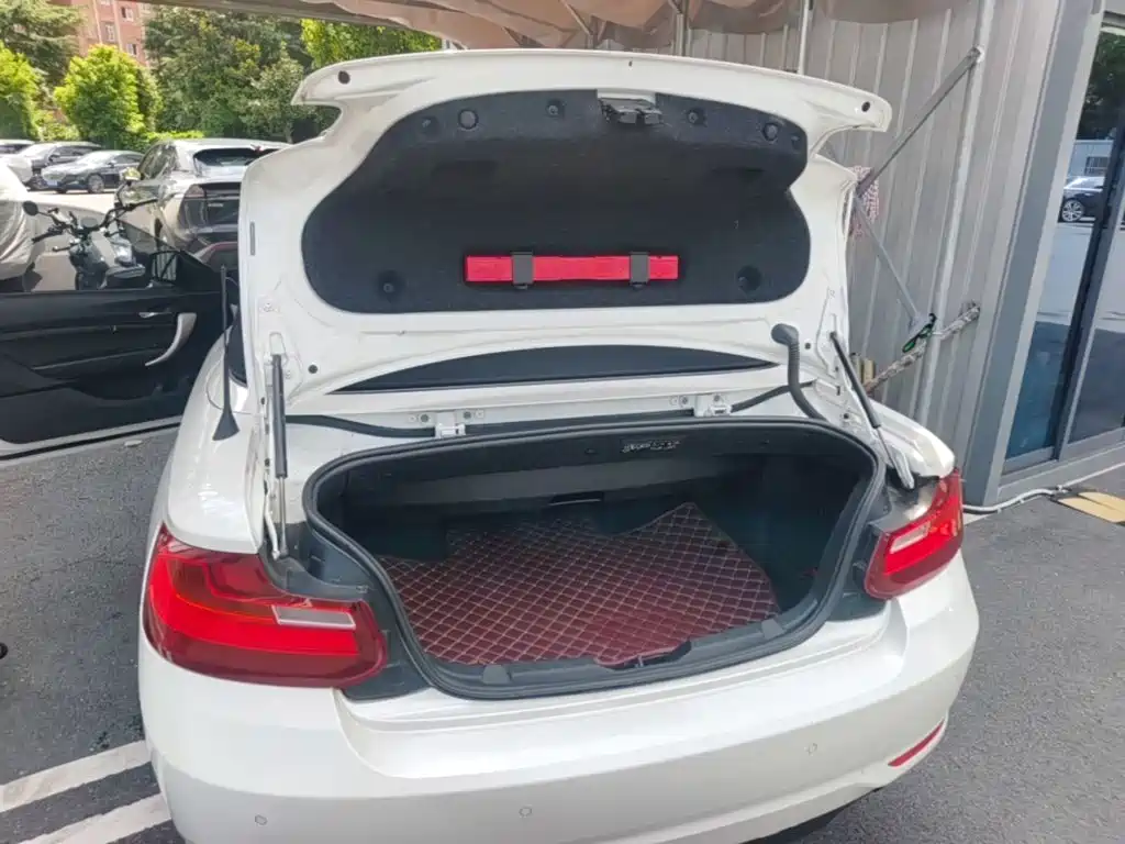 BMW 2 Series (Import) — миниатюра 19