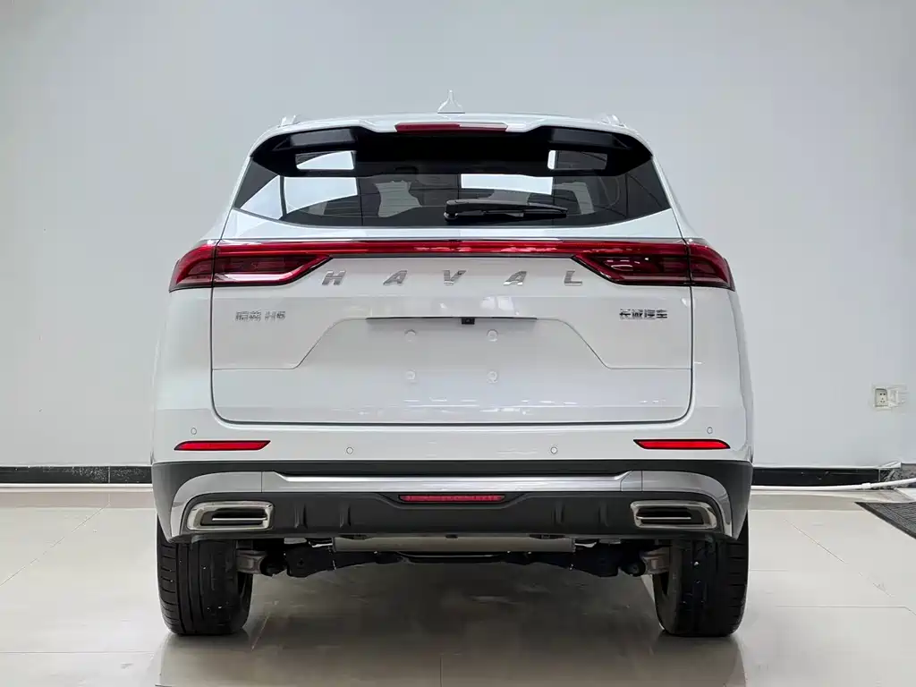 Haval H6 — миниатюра 5
