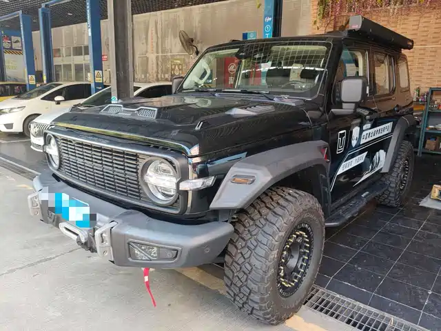 2025 TANK 300