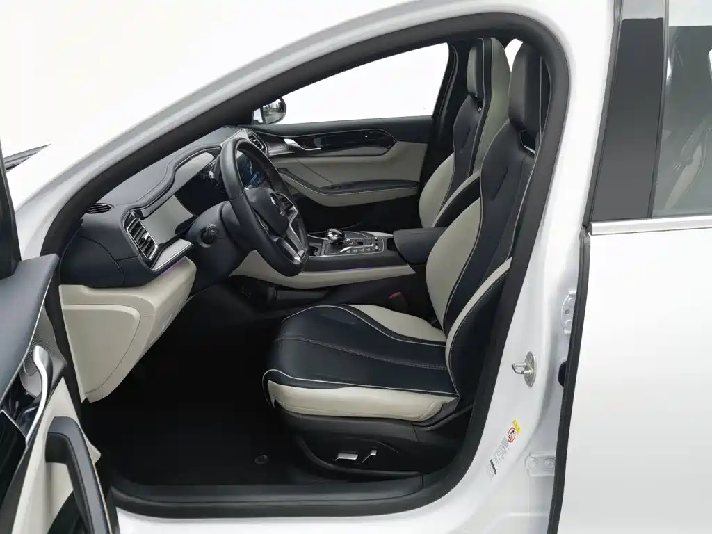 BYD Qin PLUS — миниатюра 10
