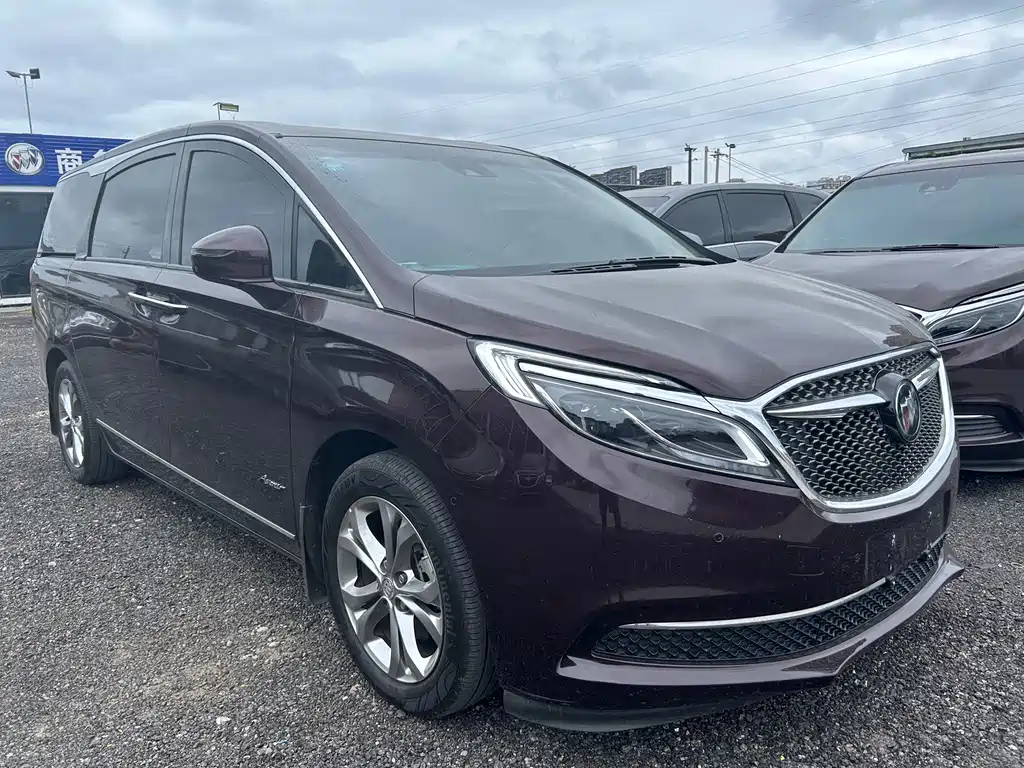 Buick GL8 — миниатюра 3
